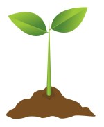 A cartoon of a seedling