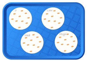 A cartoon showing a tray with 4 pieces of filter paper labelled 0, low, medium and high. Each filter paper has 10 cress seeds on it.