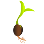 A cartoon showing a sprouting seed